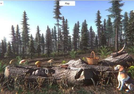 Mushroom Challenge Global Steam Digital Key