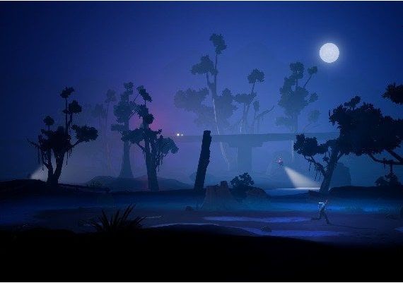 American Arcadia EN ROW Steam Digital Key