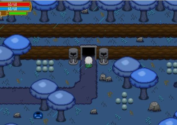 Shalnor Legends: Sacred Lands EN Argentina Xbox One/Series Digital Key