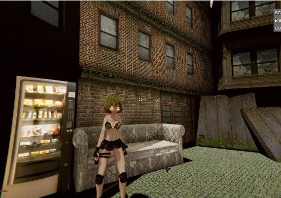 The Last of Waifus EN Global Steam Digital Key