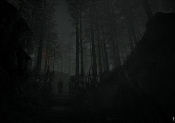 Husk EN/DE/FR/IT Global Steam Digital Key