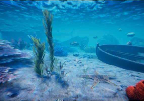 Project Castaway EN Global Steam Digital Key