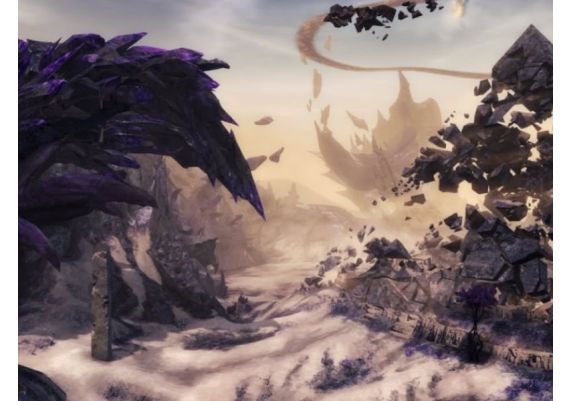 Guild Wars 2 - Mini Pet Key + Booster Bundle DLC EN Global Official website Digital Key