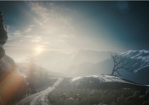 The Butterfly Sign EN/DE/FR/RU/ES Global Steam Digital Key