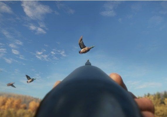 theHunter: Call of the Wild - Duck and Cover DLC Global Steam Digital Key