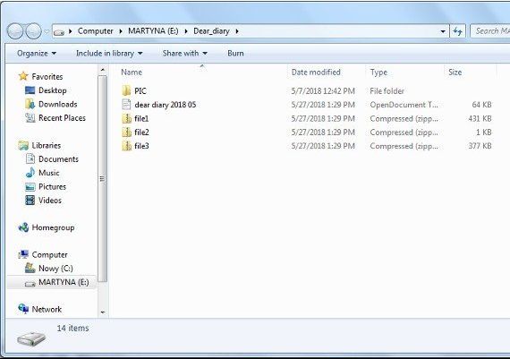 The USB Stick Found in the Grass EN Global Steam Digital Key