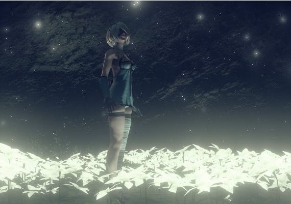 NieR: Automata Game of the YoRHa Edition EN/DE/FR/IT Global Steam Digital Key