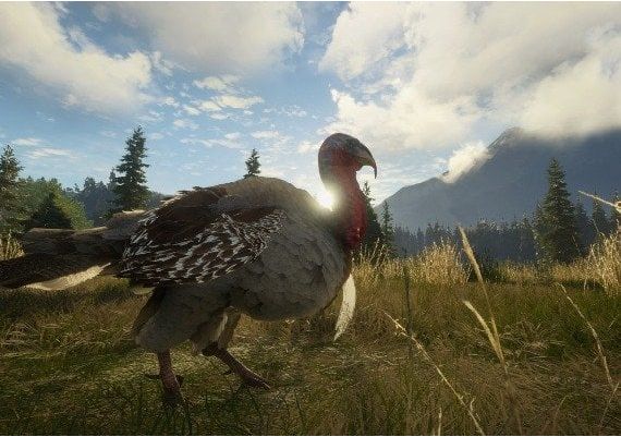 theHunter: Call of the Wild - Master Hunter Bundle Argentina Xbox Windows Digital Key