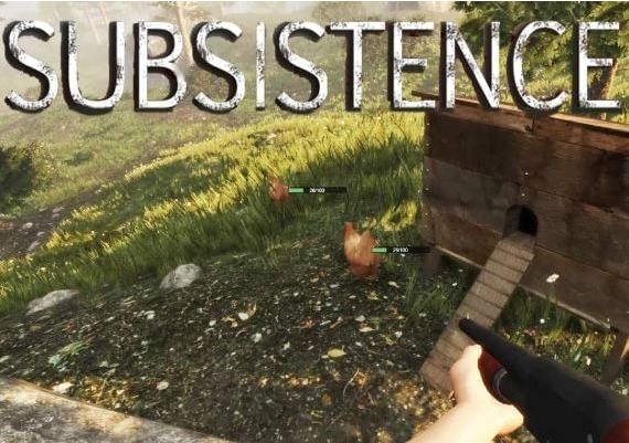 Subsistence Global Steam Digital Key