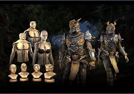 TESO The Elder Scrolls Online - Dragon Slayer Bundle 2 DLC EN Global Xbox One/Series Digital Key