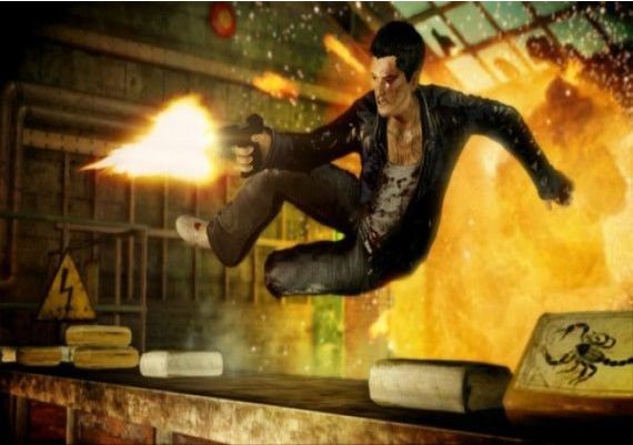 Sleeping Dogs EN/DE/FR/IT EU Steam Digital Key
