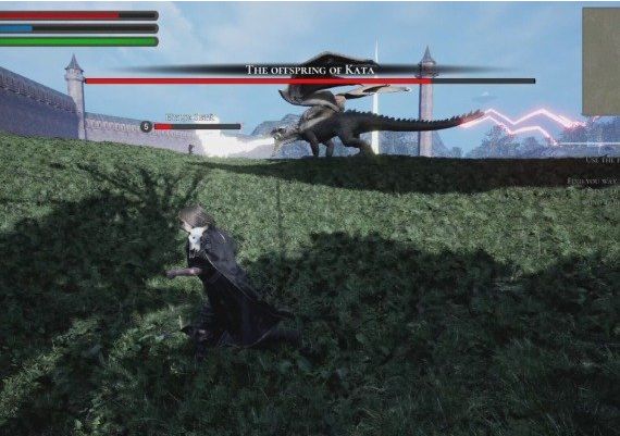 Divinus Vanitas EN Global Steam Digital Key