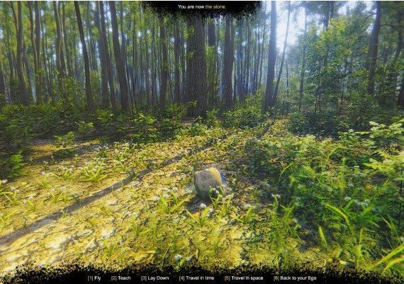 Mindfulness Simulator: ASMR Meditation Game Global Steam Digital Key