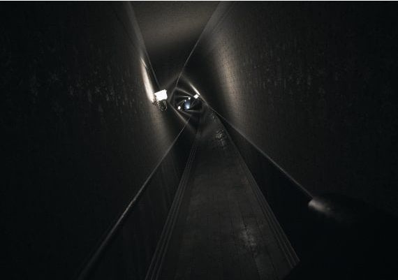 Visage EU Steam Digital Key