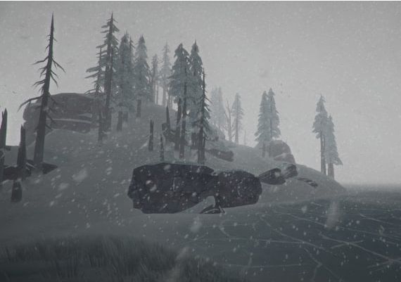 The Long Dark EN United States Xbox One/Series Digital Key