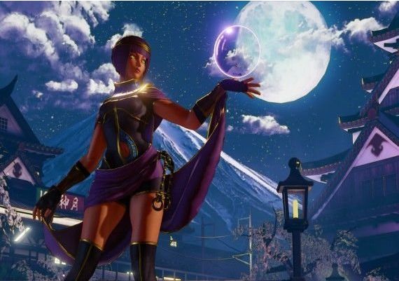 Street Fighter V - Champion Edition Special Color DLC EN EU PS4 Digital Key