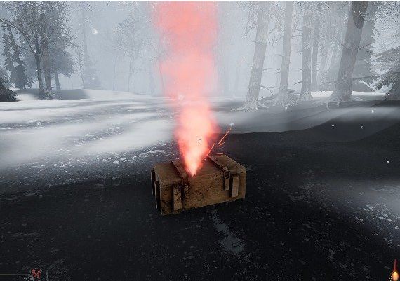 Boris The Rocket Global Steam Digital Key