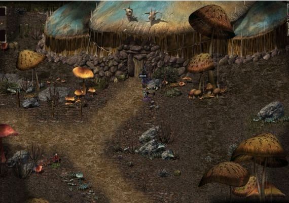 Beyond Divinity EN/DE/FR/PL/RU Global Steam Digital Key