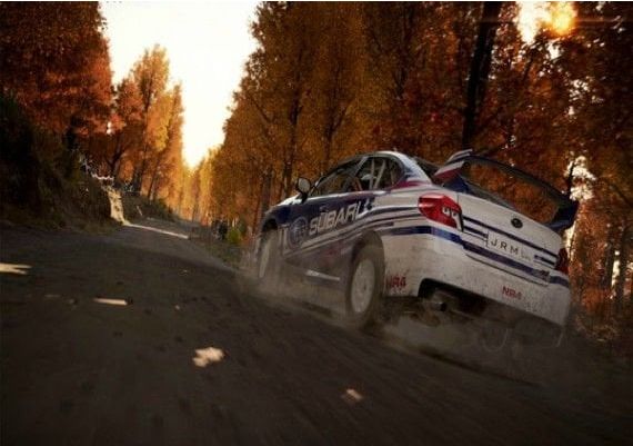 DiRT 4 EN/DE/FR/IT Global Steam Digital Key