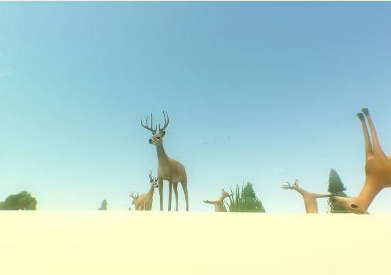 Everything EN Global Steam Digital Key