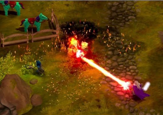 Magicka: The Other Side of the Coin DLC EN Global Steam Digital Key