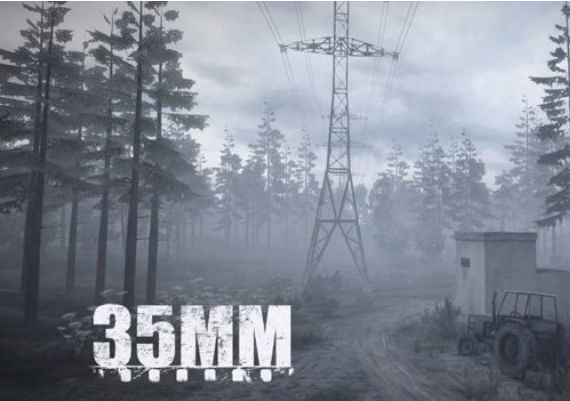 35MM EN/RU Global Steam Digital Key