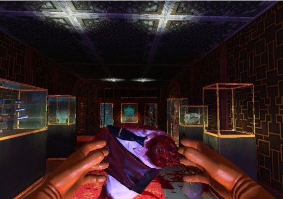 Viscera Cleanup Detail: Shadow Warrior EN Global Steam Digital Key