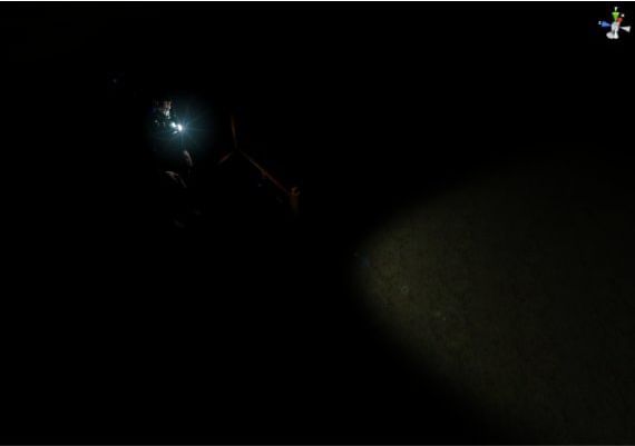 Project Night EN Global Steam Digital Key