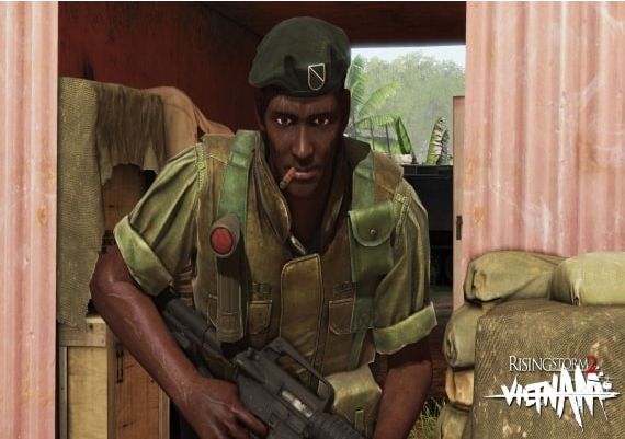 Rising Storm 2: Vietnam - Pulling Rank Cosmetic DLC EN/DE/FR/PT/RU/ES Global Steam Digital Key