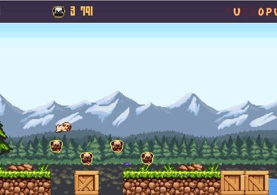 Turbo Pug DX EN Global Steam Digital Key