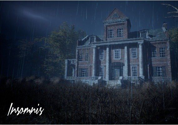 Insomnis EU PS4 Digital Key