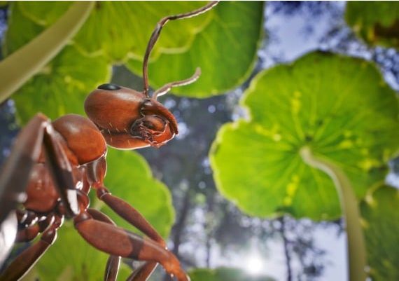 Empire of the Ants EN Switzerland Xbox Series Digital Key