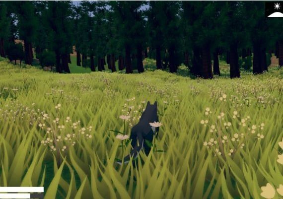 Wild Wolf EN/DE/ES/TR Global Steam Digital Key