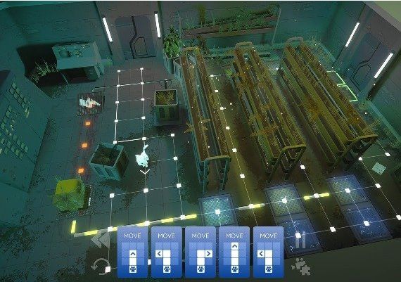 Bright Paw EN/DE/FR/IT/PT/ES Global Steam Digital Key