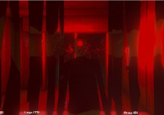 Squeaky Clean EN Global Steam Digital Key