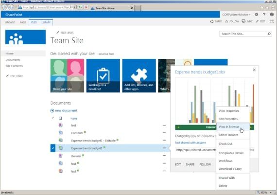 Sharepoint Server 2019 Standard EN Global MS Products Digital Key