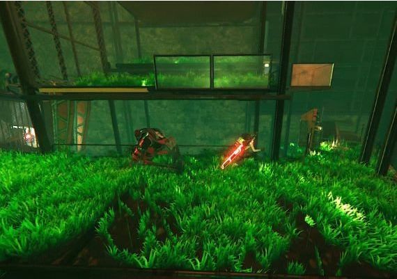 Fallback Global Steam Digital Key