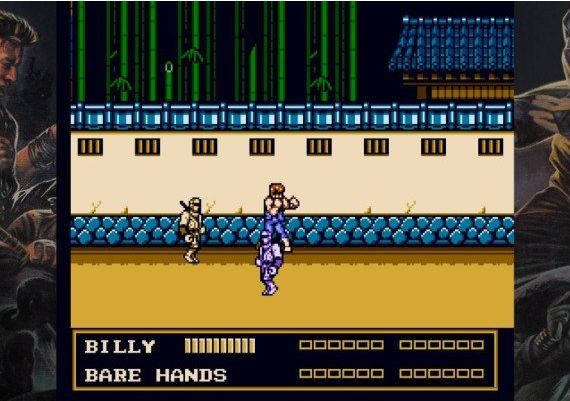 Double Dragon III: The Sacred Stones EN Argentina Xbox One/Series Digital Key