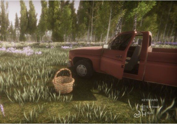 Flower Challenge EN Global Steam Digital Key