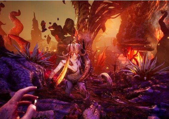 Succubus EN EU PS4/5 Digital Key