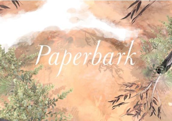 Paperbark Global Steam Digital Key