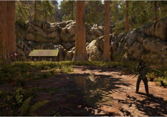 Potentia EN/DE/TR Global Steam Digital Key