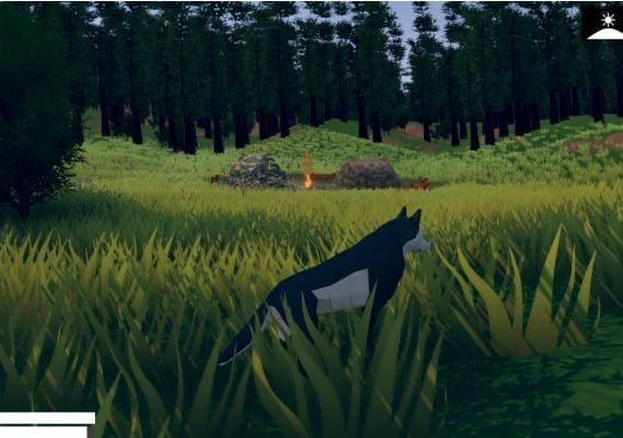 Wild Wolf EN/DE/ES/TR Global Steam Digital Key