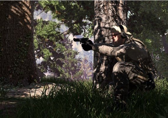 Ground Branch - Steam Account EN Global Steam Digital Key