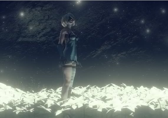 NieR: Automata Game of the YoRHa Edition EN/DE/FR/IT EU Steam Digital Key