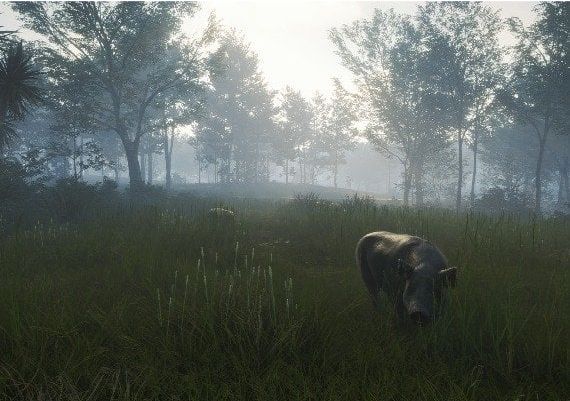 theHunter: Call of the Wild - Te Awaroa National Park DLC EN EU Xbox One/Series Digital Key