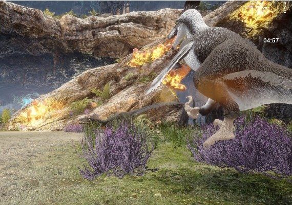 Raptor Territory EN/DE/FR/RU/HU/RO Global Steam Digital Key