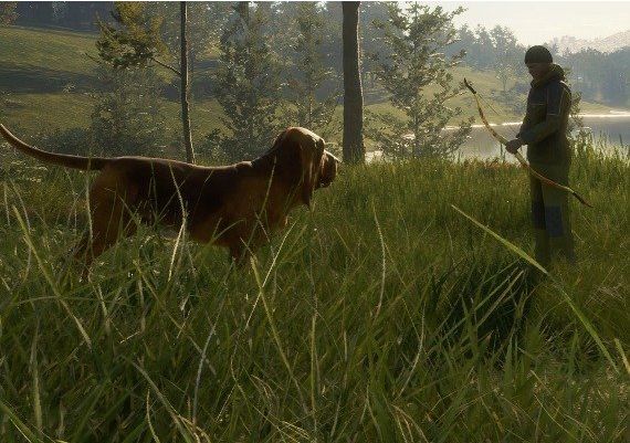 theHunter: Call of the Wild - Bloodhound DLC Global Steam Digital Key