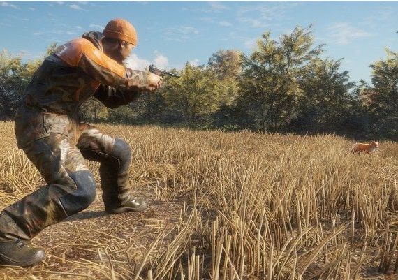 theHunter: Call of the Wild - Weapon Pack 3 DLC Global Steam Digital Key
