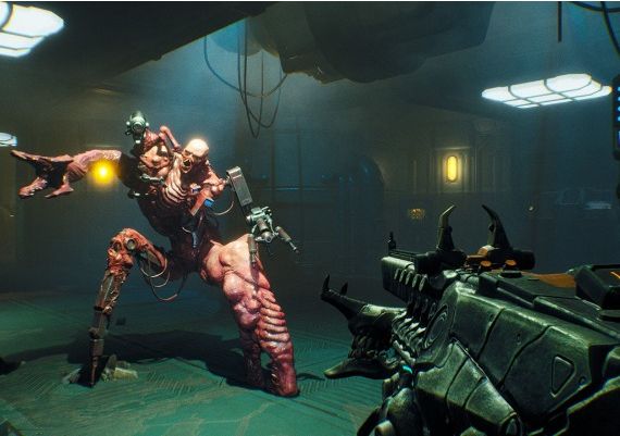 Ripout EN Global Steam Digital Key